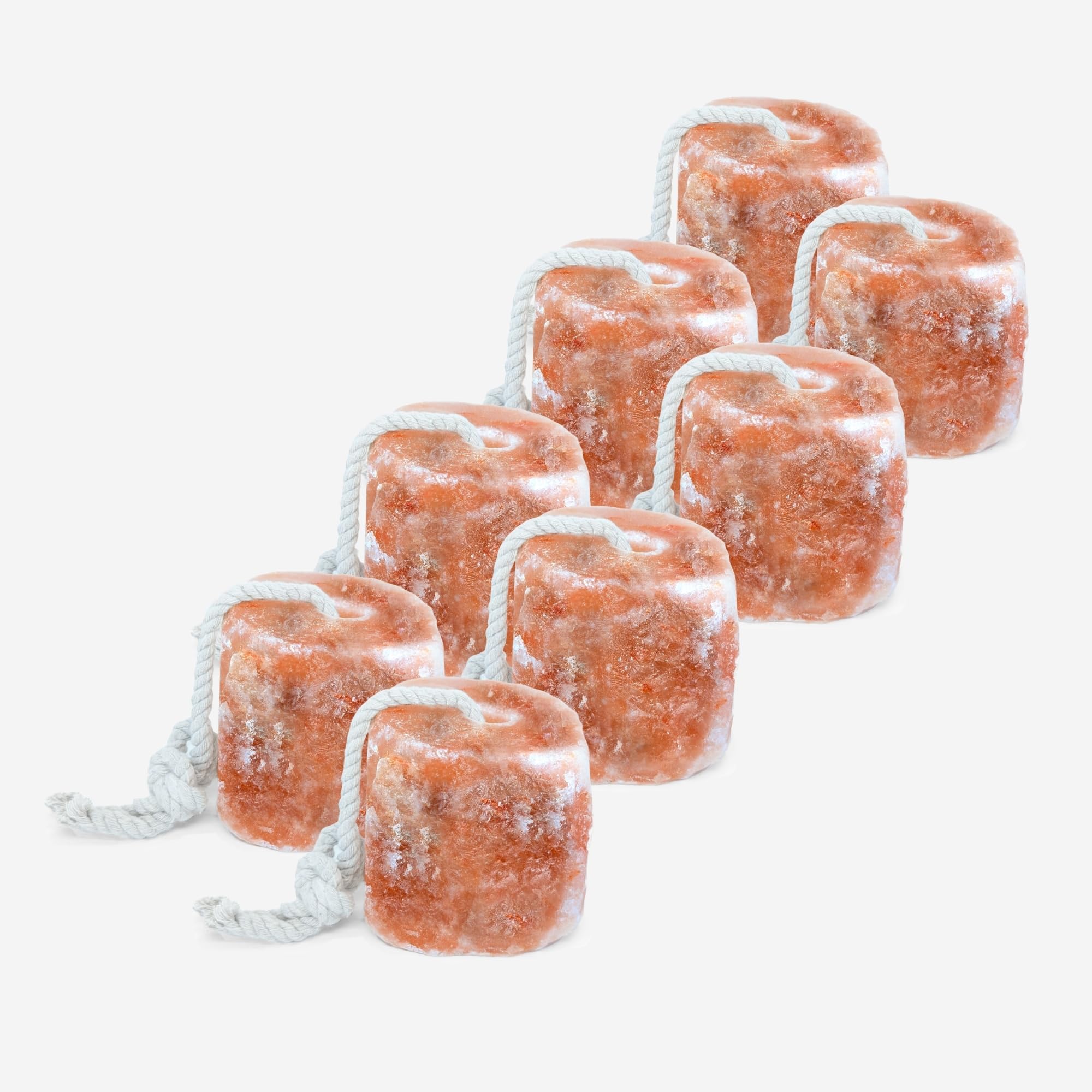 RESISTANCE Himalayan Salt Lick 2lb Block on Rope for Horses, Cattle, Deer, Goats, and Livestock – Pack of 6 Blocks