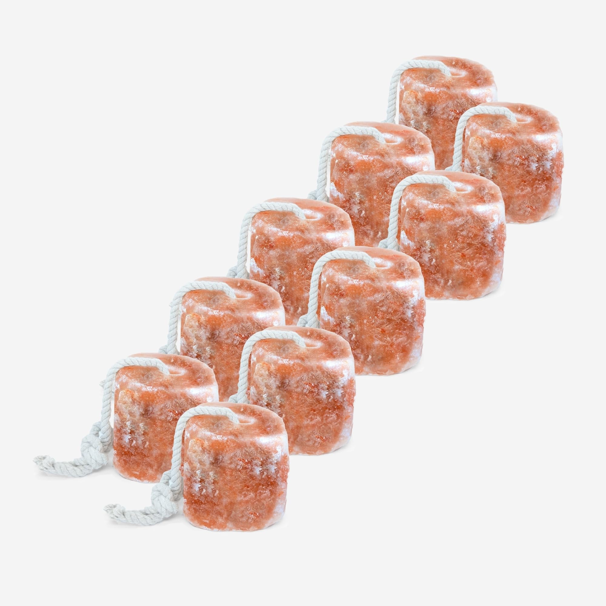 RESISTANCE Himalayan Salt Lick 2lb Block on Rope for Horses, Cattle, Deer, Goats, and Livestock – Pack of 6 Blocks