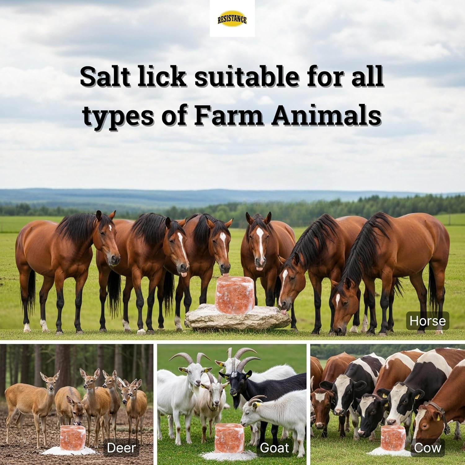 RESISTANCE Himalayan Salt Lick 2lb Block on Rope for Horses, Cattle, Deer, Goats, and Livestock – Pack of 6 Blocks