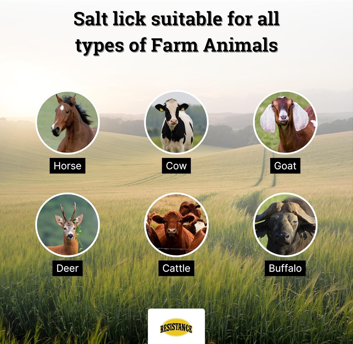 RESISTANCE Himalayan Salt Lick 2lb Block on Rope for Horses, Cattle, Deer, Goats, and Livestock – Pack of 6 Blocks
