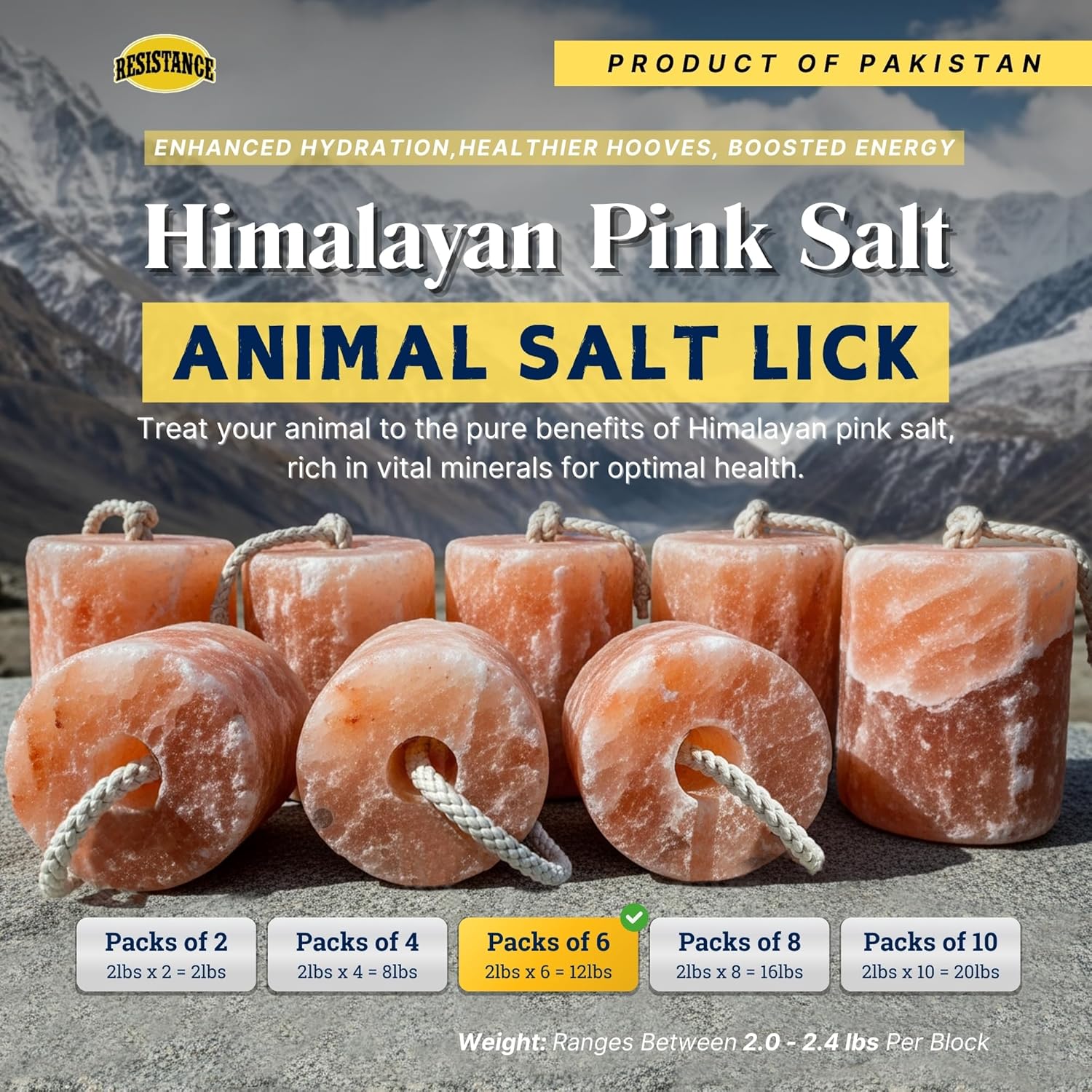 RESISTANCE Himalayan Salt Lick 2lb Block on Rope for Horses, Cattle, Deer, Goats, and Livestock – Pack of 6 Blocks